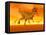 Three Monolophosaurus Dinosaurs in the Desert by Sunset-null-Framed Stretched Canvas