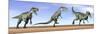 Three Monolophosaurus Dinosaurs Standing in the Desert-null-Mounted Art Print