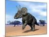 Three Nedoceratops in the Desert by Daylight-null-Mounted Art Print