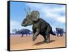 Three Nedoceratops in the Desert by Daylight-null-Framed Stretched Canvas