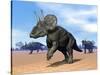 Three Nedoceratops in the Desert by Daylight-null-Stretched Canvas