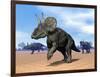 Three Nedoceratops in the Desert by Daylight-null-Framed Art Print