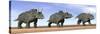 Three Nedoceratops Standing in the Desert-null-Stretched Canvas