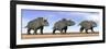 Three Nedoceratops Standing in the Desert-null-Framed Art Print