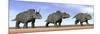 Three Nedoceratops Standing in the Desert-null-Mounted Art Print