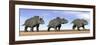 Three Nedoceratops Standing in the Desert-null-Framed Art Print