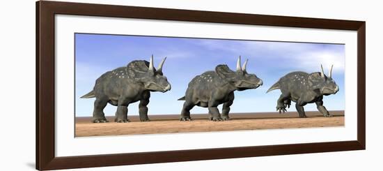 Three Nedoceratops Standing in the Desert-null-Framed Premium Giclee Print