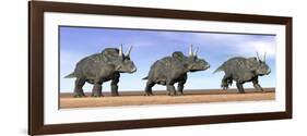 Three Nedoceratops Standing in the Desert-null-Framed Premium Giclee Print