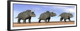 Three Nedoceratops Standing in the Desert-null-Framed Premium Giclee Print