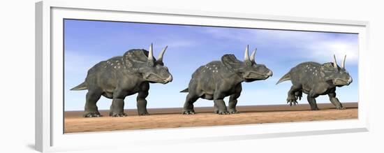 Three Nedoceratops Standing in the Desert-null-Framed Premium Giclee Print