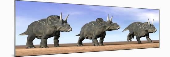 Three Nedoceratops Standing in the Desert-null-Mounted Premium Giclee Print
