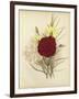 Three New Tree Carnations-null-Framed Giclee Print