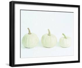 Three of a Kind II-null-Framed Art Print