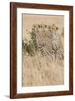 Three of a Kind-Susann Parker-Framed Photographic Print