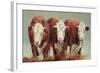 Three of a Kind-Carolyne Hawley-Framed Art Print