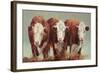 Three of a Kind-Carolyne Hawley-Framed Art Print