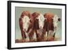 Three of a Kind-Carolyne Hawley-Framed Art Print