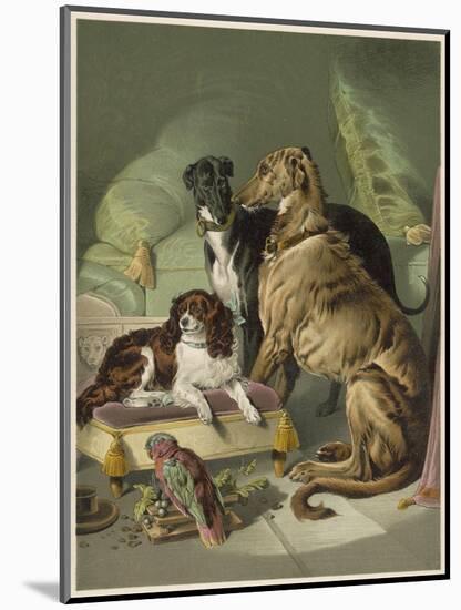 Three of Her Dogs, Dash Hector and Nero, and a Lory-null-Mounted Photographic Print