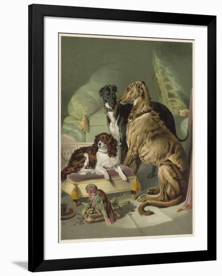 Three of Her Dogs, Dash Hector and Nero, and a Lory-null-Framed Photographic Print