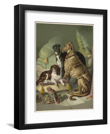 Premium Photographic Print, , large