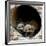 Three of Jenny the Meerkats New Babies Venture Out at London Zoo-null-Framed Photographic Print