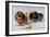 Three of Mrs. Hall Walker's Champion Pomeranians-null-Framed Art Print