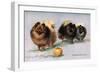 Three of Mrs. Hall Walker's Champion Pomeranians-null-Framed Premium Giclee Print