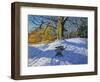 Three on a Sledge, Allestree Park Derby, 2014-Andrew Macara-Framed Giclee Print