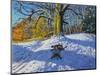 Three on a Sledge, Allestree Park Derby, 2014-Andrew Macara-Mounted Giclee Print