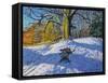 Three on a Sledge, Allestree Park Derby, 2014-Andrew Macara-Framed Stretched Canvas