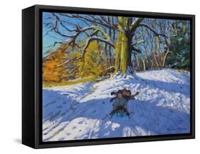 Three on a Sledge, Allestree Park Derby, 2014-Andrew Macara-Framed Stretched Canvas