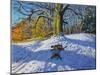 Three on a Sledge, Allestree Park Derby, 2014-Andrew Macara-Mounted Giclee Print