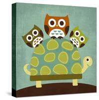 Three Owls on Turtle-Nancy Lee-Stretched Canvas
