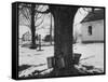 Three Pails Laying Against the Tree for Catching Maple Being Tapped in the Catskill Mt. Region-Richard Meek-Framed Stretched Canvas