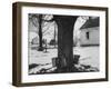 Three Pails Laying Against the Tree for Catching Maple Being Tapped in the Catskill Mt. Region-Richard Meek-Framed Photographic Print