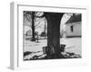 Three Pails Laying Against the Tree for Catching Maple Being Tapped in the Catskill Mt. Region-Richard Meek-Framed Photographic Print