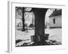 Three Pails Laying Against the Tree for Catching Maple Being Tapped in the Catskill Mt. Region-Richard Meek-Framed Photographic Print