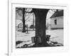 Three Pails Laying Against the Tree for Catching Maple Being Tapped in the Catskill Mt. Region-Richard Meek-Framed Photographic Print