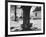 Three Pails Laying Against the Tree for Catching Maple Being Tapped in the Catskill Mt. Region-Richard Meek-Framed Photographic Print