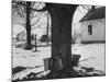 Three Pails Laying Against the Tree for Catching Maple Being Tapped in the Catskill Mt. Region-Richard Meek-Mounted Photographic Print
