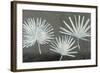 Three Palmettos-Steve Peterson-Framed Art Print