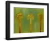 Three Palms II-Patricia Pinto-Framed Art Print