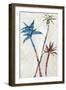 Three Palms-Jan Weiss-Framed Art Print