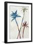 Three Palms-Jan Weiss-Framed Art Print