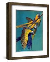 "Three Parrots,"March 11, 1939-Julius Moessel-Framed Giclee Print