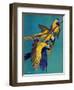 "Three Parrots,"March 11, 1939-Julius Moessel-Framed Giclee Print