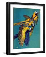 "Three Parrots,"March 11, 1939-Julius Moessel-Framed Giclee Print