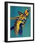 "Three Parrots,"March 11, 1939-Julius Moessel-Framed Giclee Print