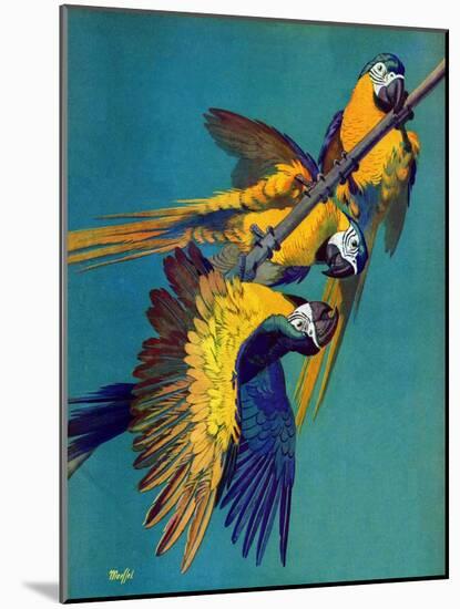 "Three Parrots,"March 11, 1939-Julius Moessel-Mounted Giclee Print