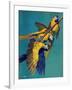 "Three Parrots,"March 11, 1939-Julius Moessel-Framed Giclee Print